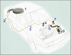The components of a  typical Autogas conversion